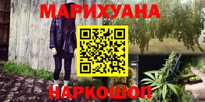 шишки Гусев