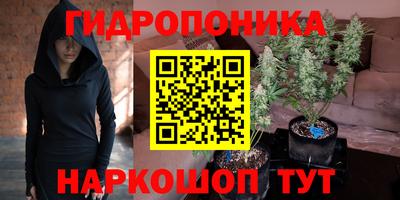 шишки Гусев