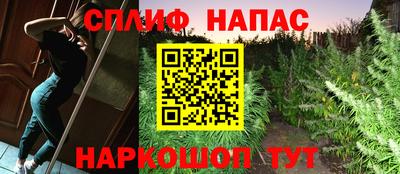 apvp Гусь-Хрустальный
