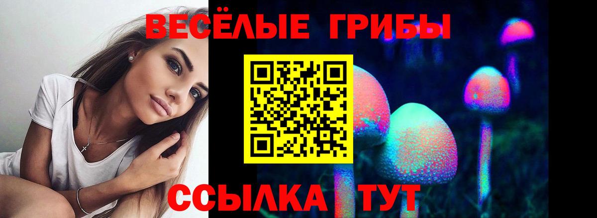 Псилоцибиновые грибы Magic Shrooms Курчалой