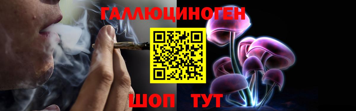 Курчалой  Галлюциногенные грибы мицелий  даркнет сайт  Вход с VPN  Галлюциногенные грибы мухоморы 