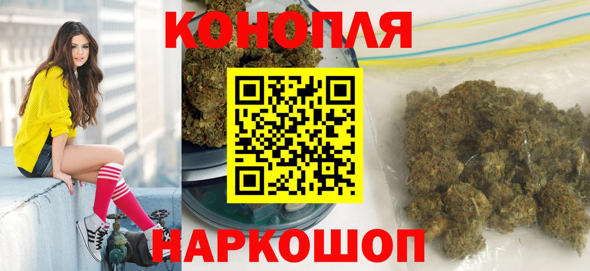 Конопля конопля Курчалой